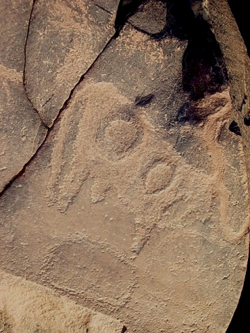 metgourine_6.jpg metgourine_6.jpg