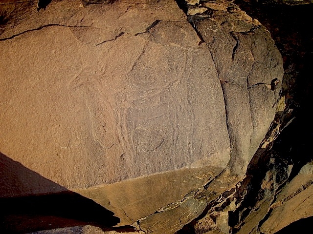 metgourine_7.jpg metgourine_7.jpg