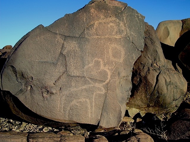 metgourine_8.jpg metgourine_8.jpg