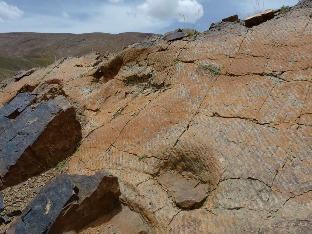 p1220088.jpg p1220088.jpg