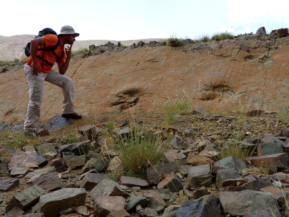 p1220153.jpg p1220153.jpg