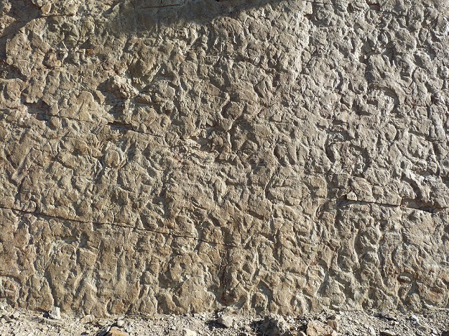 p1270032.jpg p1270032.jpg