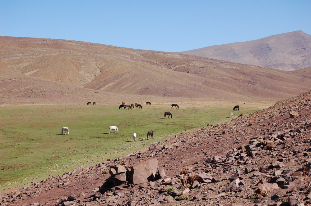 sie_8_1.jpg sie_8_1.jpg