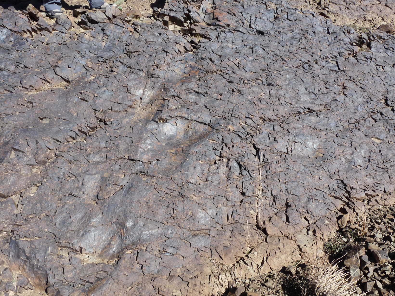 site_1_c.jpg site_1_c.jpg