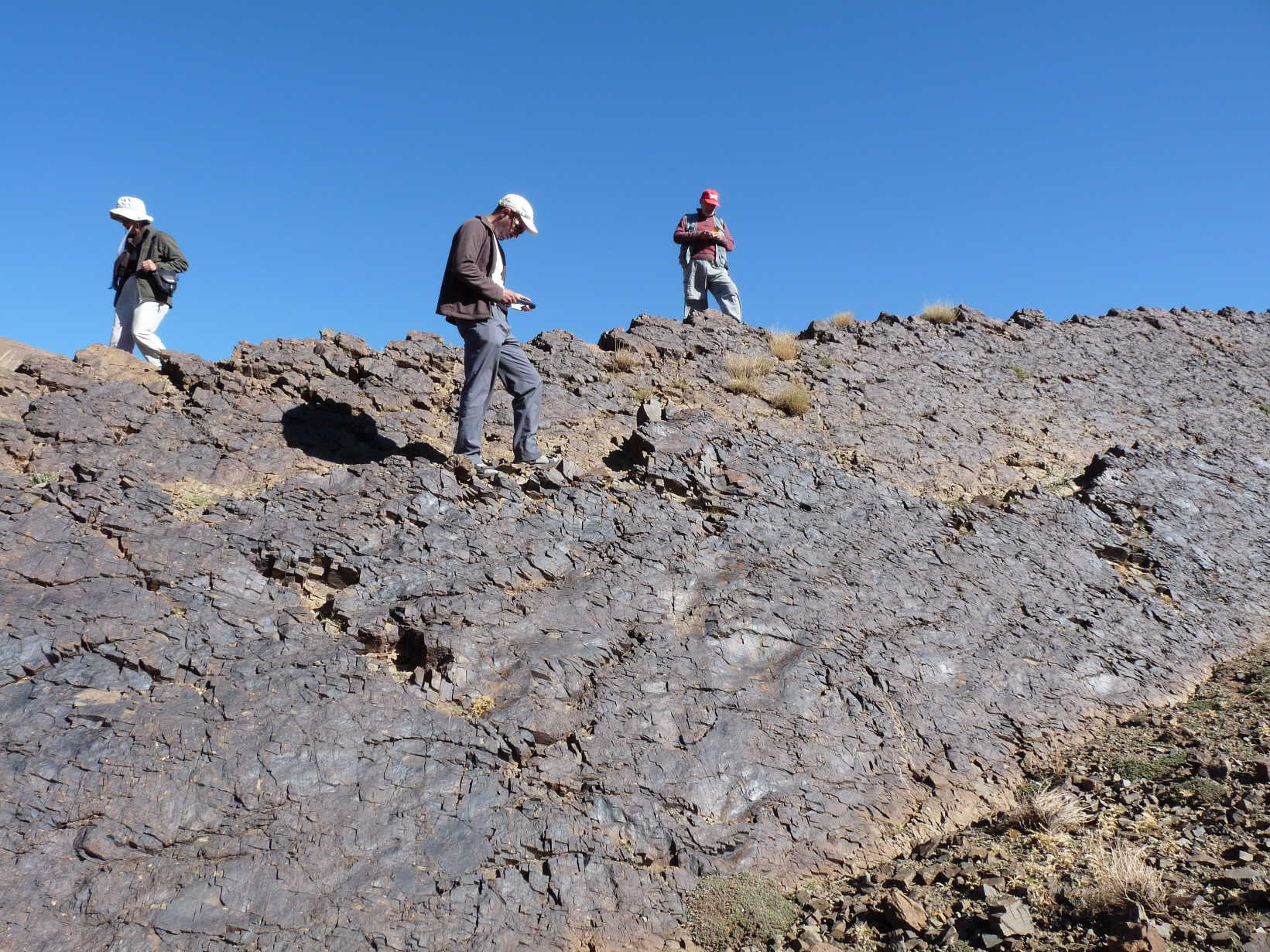 site_1_c_.jpg site_1_c_.jpg