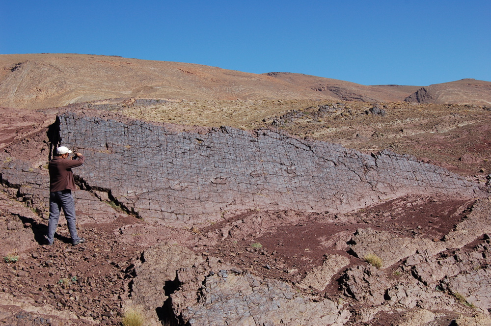 site_1_d.jpg site_1_d.jpg