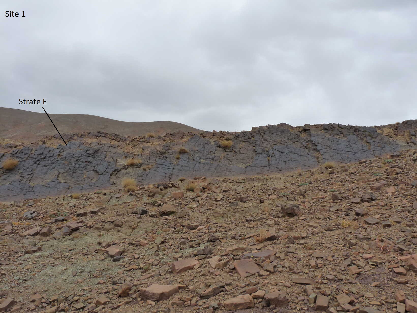 site_1_e.jpg site_1_e.jpg