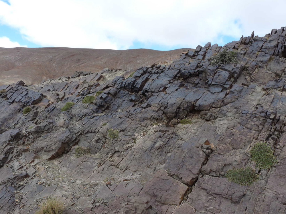 site_1_f_.jpg site_1_f_.jpg