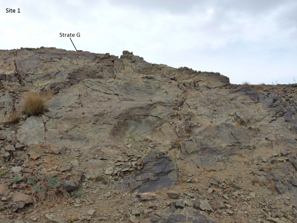 site_1_g.jpg site_1_g.jpg