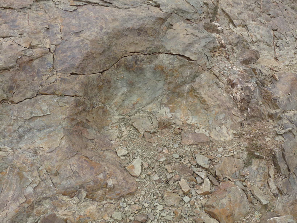 site_1_g_.jpg site_1_g_.jpg