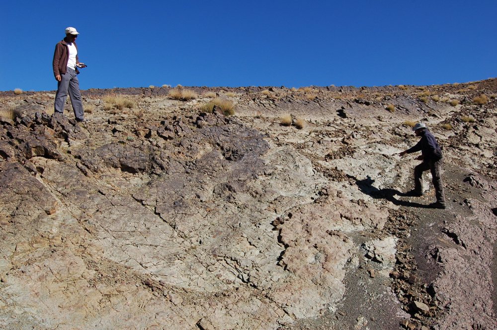 site_1b.jpg site_1b.jpg