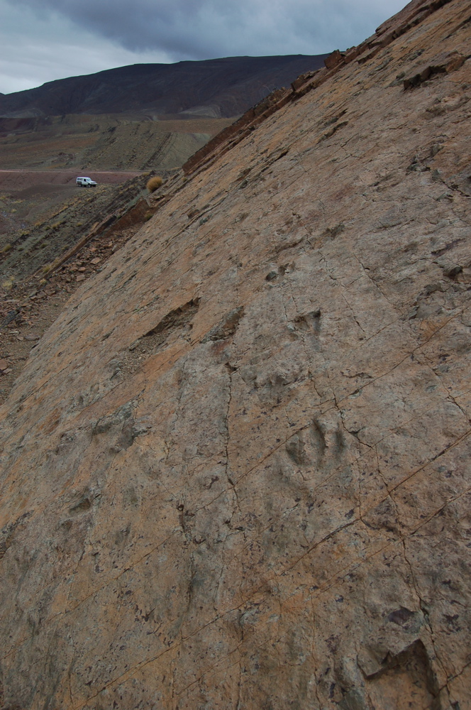 site_2a.jpg site_2a.jpg