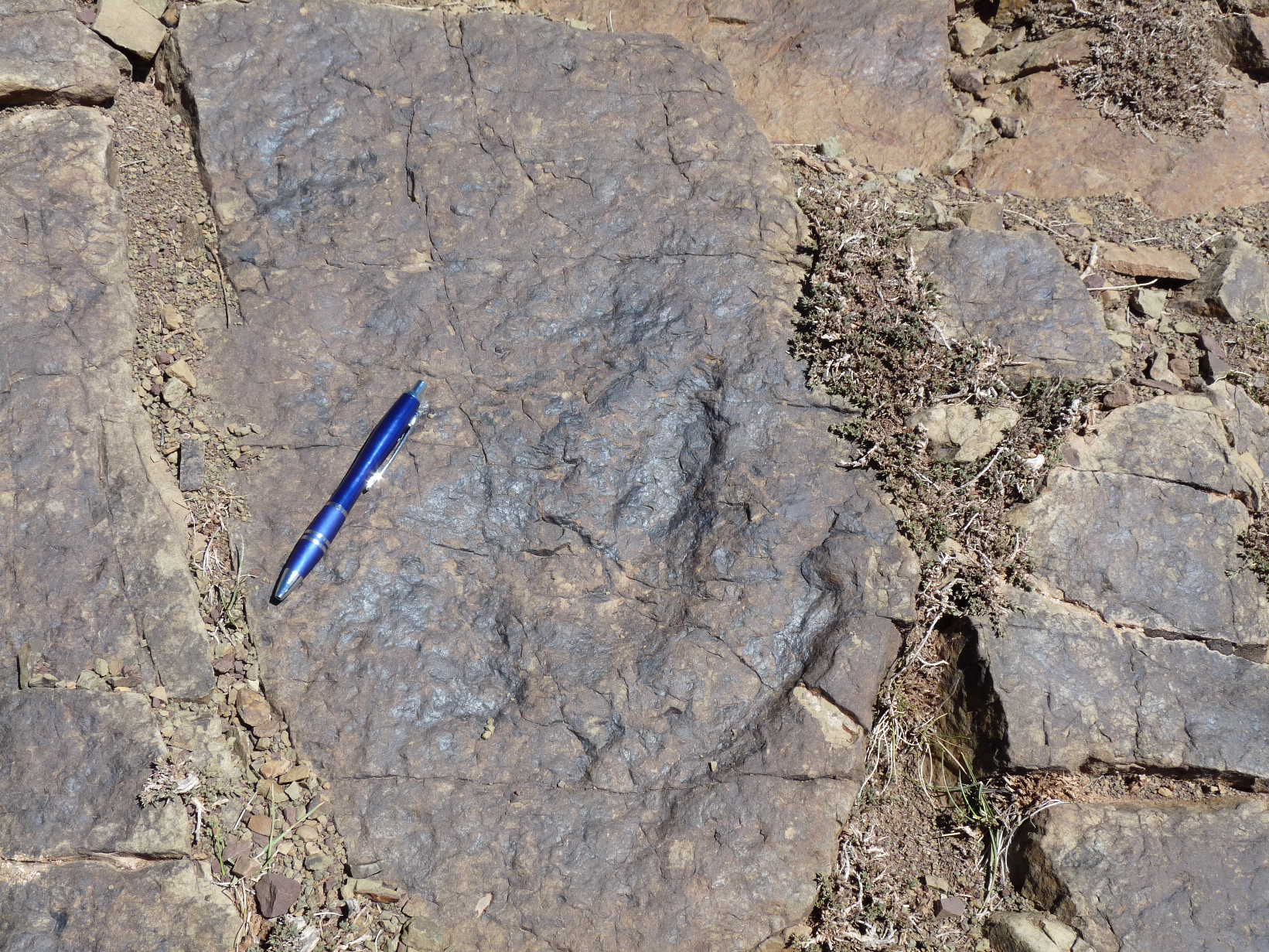 site_4_b2.jpg site_4_b2.jpg