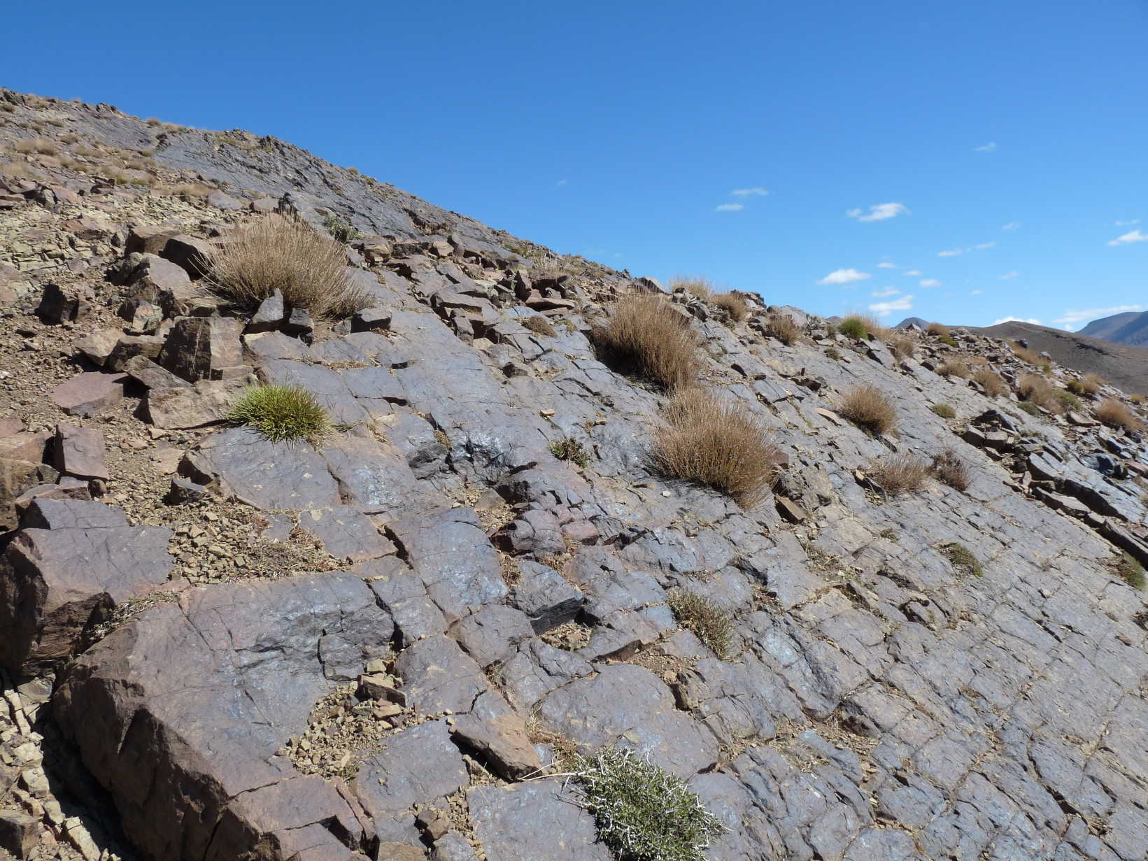 site_4_b_2.jpg site_4_b_2.jpg