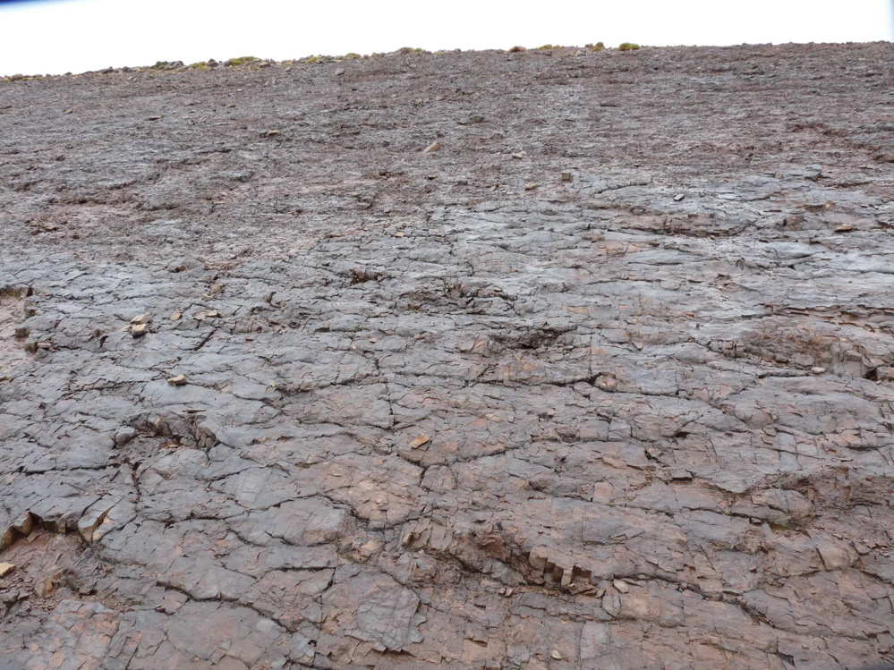 site_7_b.jpg site_7_b.jpg