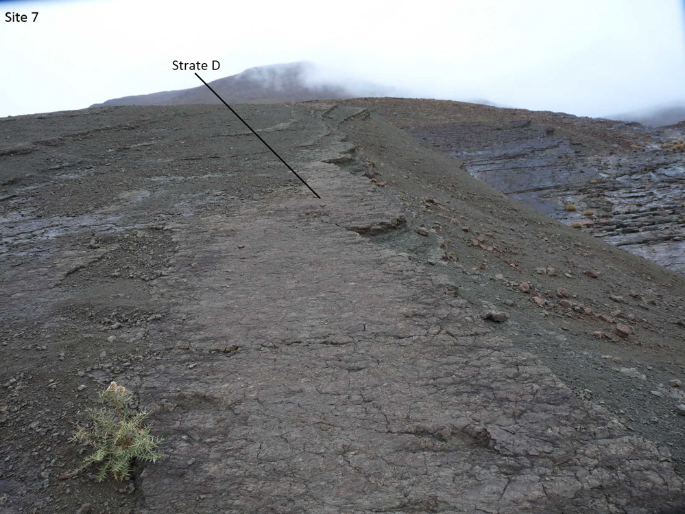 site_7d.jpg site_7d.jpg