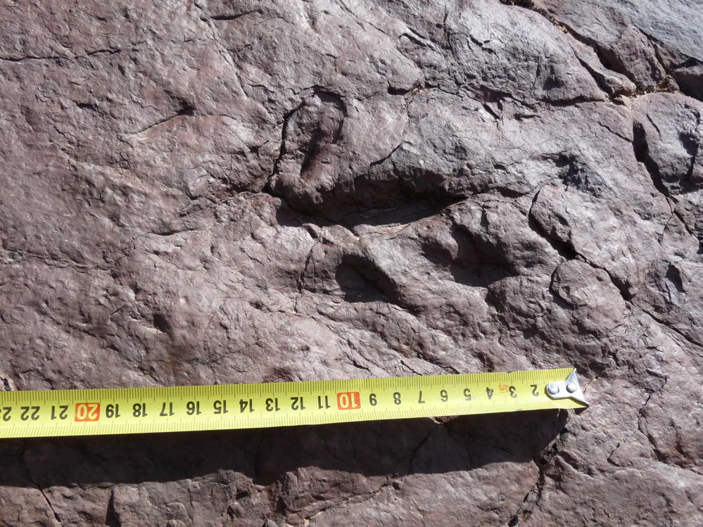 site_8_6.jpg site_8_6.jpg