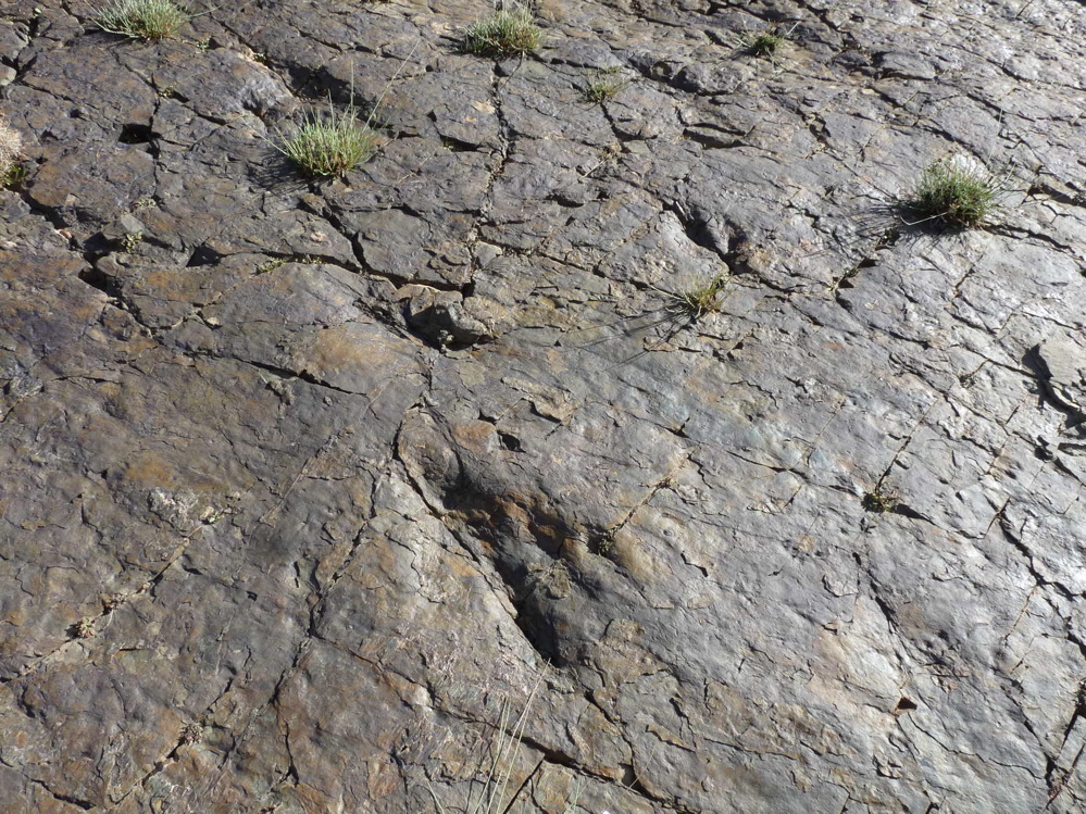 site_9_b.jpg site_9_b.jpg