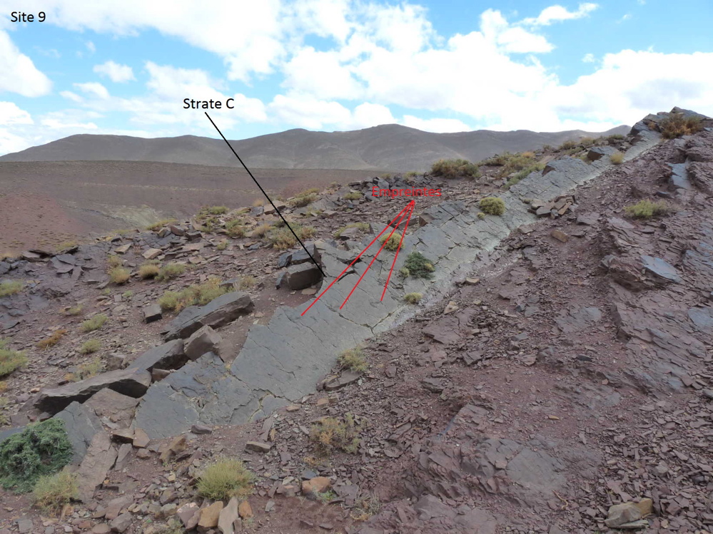 site_9_c.jpg site_9_c.jpg