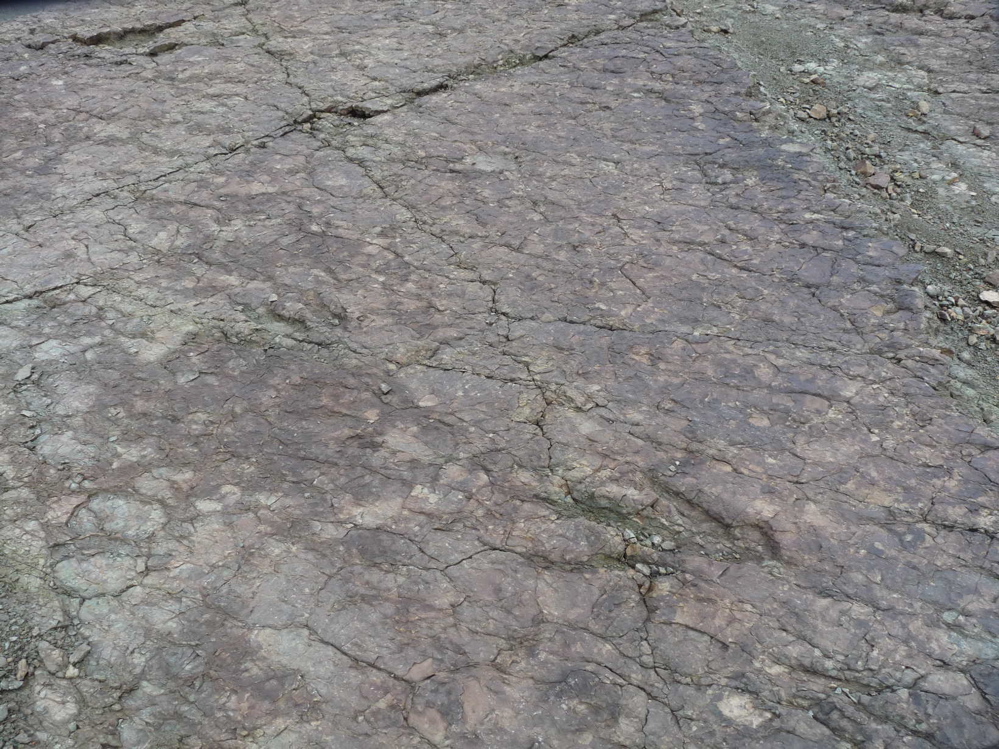 site_cb.jpg site_cb.jpg