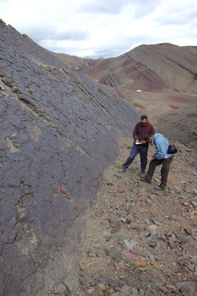 site_e1.jpg site_e1.jpg