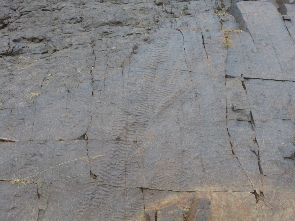 taghighecht_1.jpg taghighecht_1.jpg