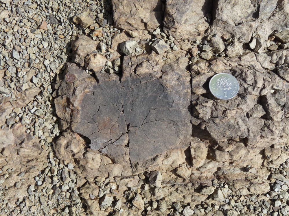 taghighecht_4.jpg taghighecht_4.jpg