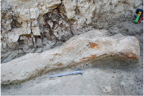 taghroute_1.jpg taghroute_1.jpg