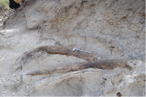 taghroute_2.jpg taghroute_2.jpg