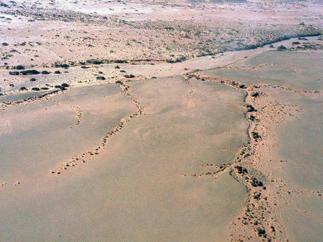 Petit MA isolé sur une terrasse en bordure de l'oued.