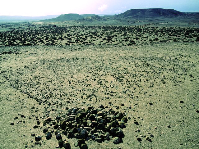 En terrasse de l’oued, petit tumulus bien marqué au départ d’un dallage triangulaire. petit_tumulus_bien_marque.jpg