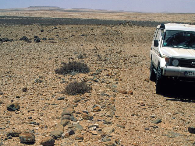 Variante de dallage d'antenne.